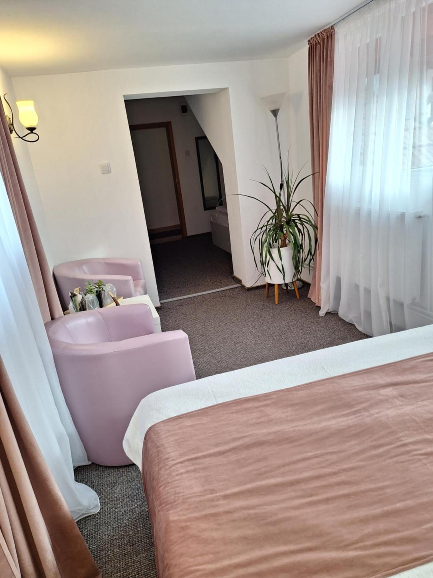 Pensiunea Tinelu Brasov 萨彻勒 外观 照片