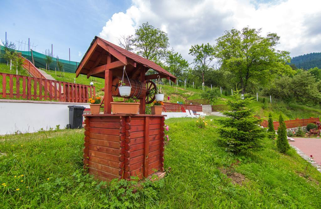 Pensiunea Tinelu Brasov 萨彻勒 外观 照片