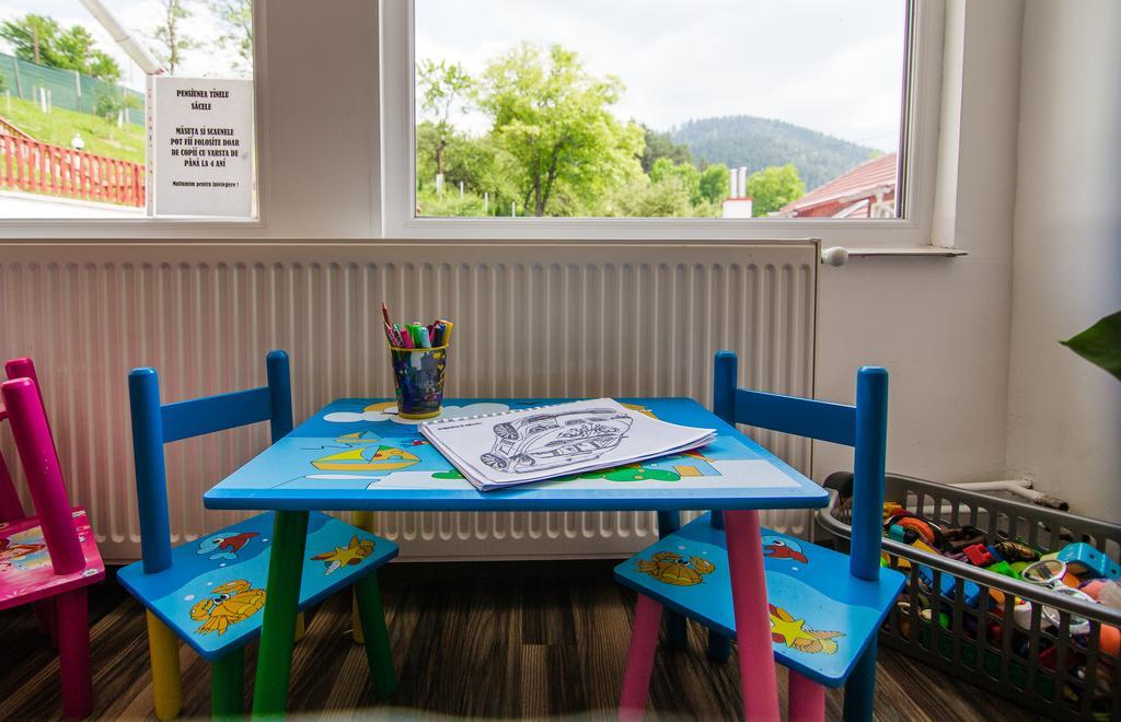 Pensiunea Tinelu Brasov 萨彻勒 外观 照片