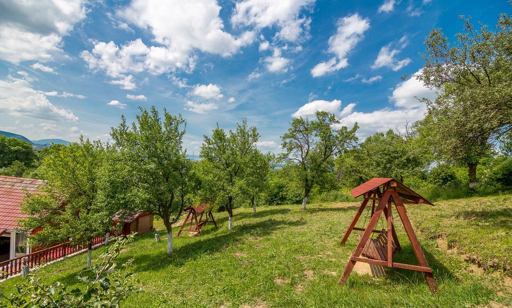Pensiunea Tinelu Brasov 萨彻勒 外观 照片